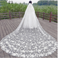 Bridal Wedding Dress Long Tail Luxury Super Fairy Wedding Veil