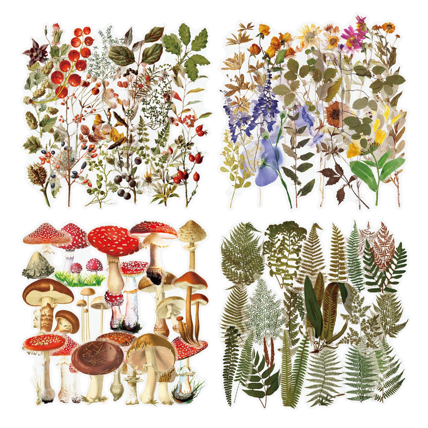 Retro Flower Nature Book DIY Hand Account Material Mushroom Sticker